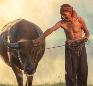 Chiang Rai Jungle Adventure 3 Days 2 Nights